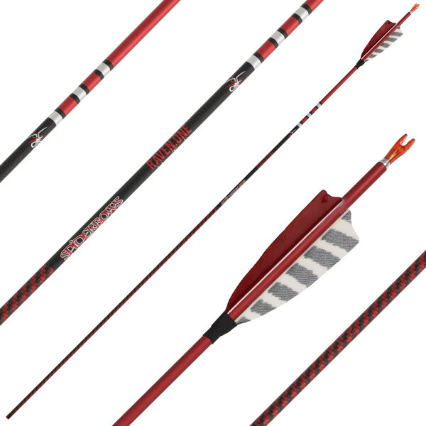 Komplettpfeil | SPIDERBOWS Raven.One KevTech - 4,2mm - Carbon | Farbe: Rot | Spine 500 | 32.0 Zoll