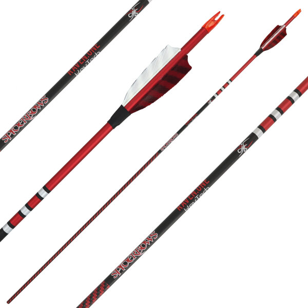 Komplettpfeil | SPIDERBOWS Raven.One KevTech - 6,2mm - Carbon | Farbe: Rot | Spine 500 | Custom
