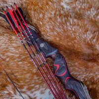 Komplettpfeil | SPIDERBOWS Raven.One KevTech - 6,2mm - Carbon | Farbe: Rot | Spine 700 | ab Werk befiedert