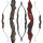 AKTION | C.V. EDITION by SPIDERBOWS Condor - 64-70 Zoll - 30-50 lbs - Take Down Recurvebogen